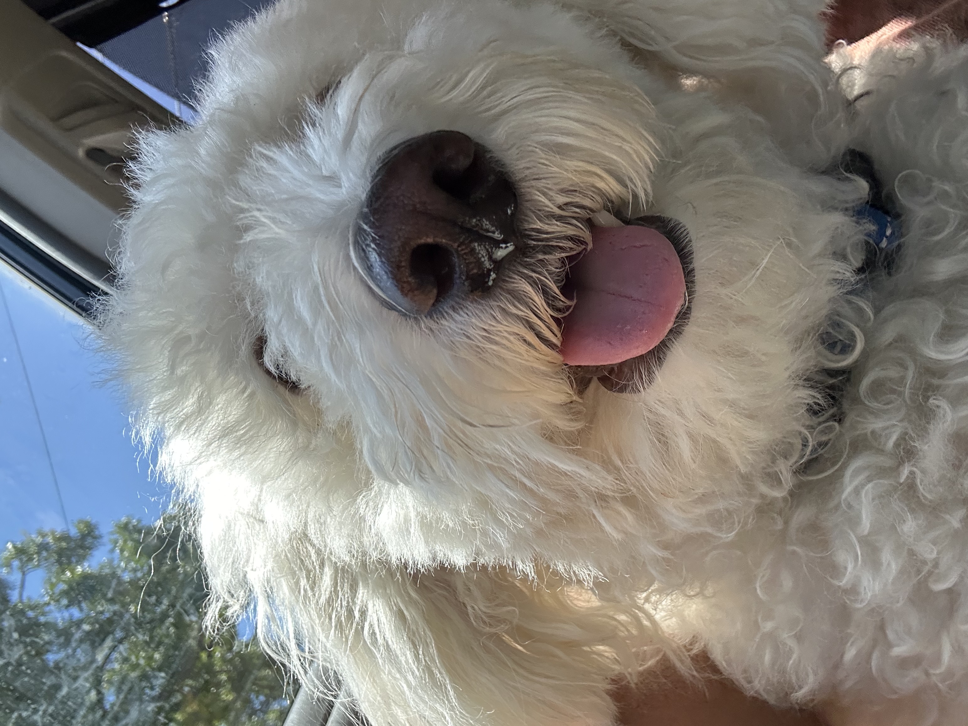 BalooClose